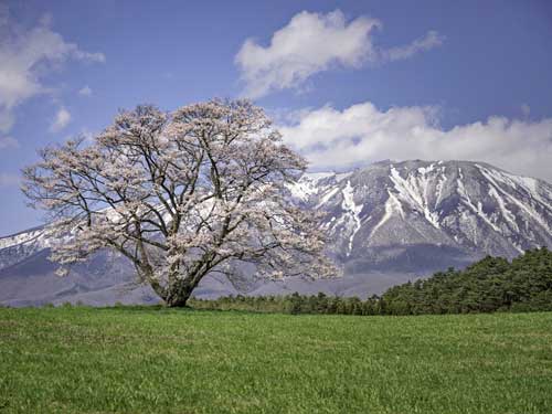 岩手盛岡癒し空間ソアン サロン紹介 今後の方向性